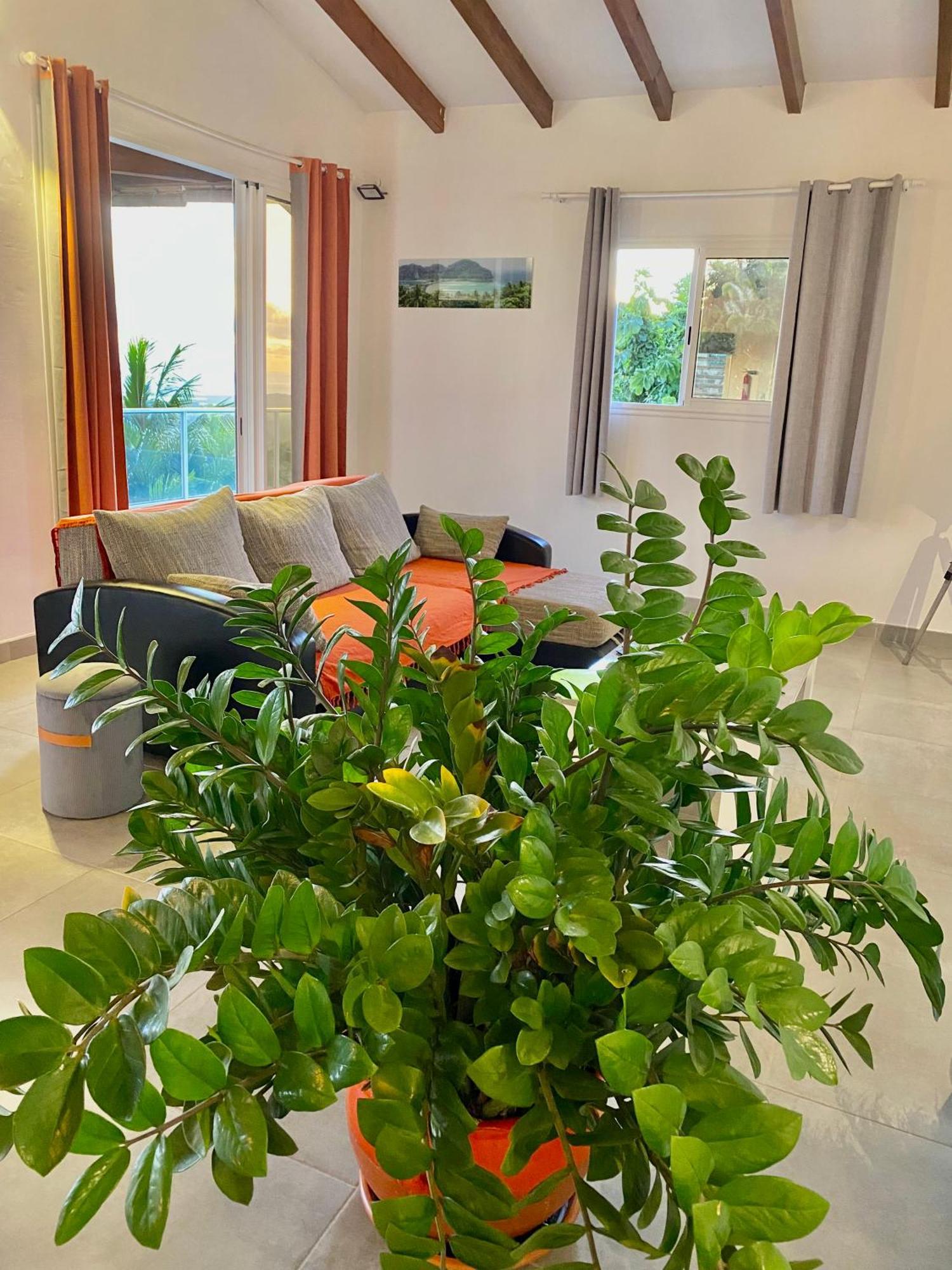 Les Villas Pameyaque 2 F2 Avec 1 Piscine Et 1 F3 Avec 1 Piscine, Superbe Vue Sur La Mer Riviere-Salee Buitenkant foto